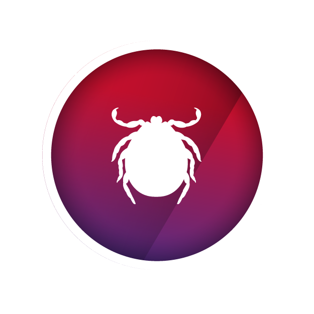 tick icon