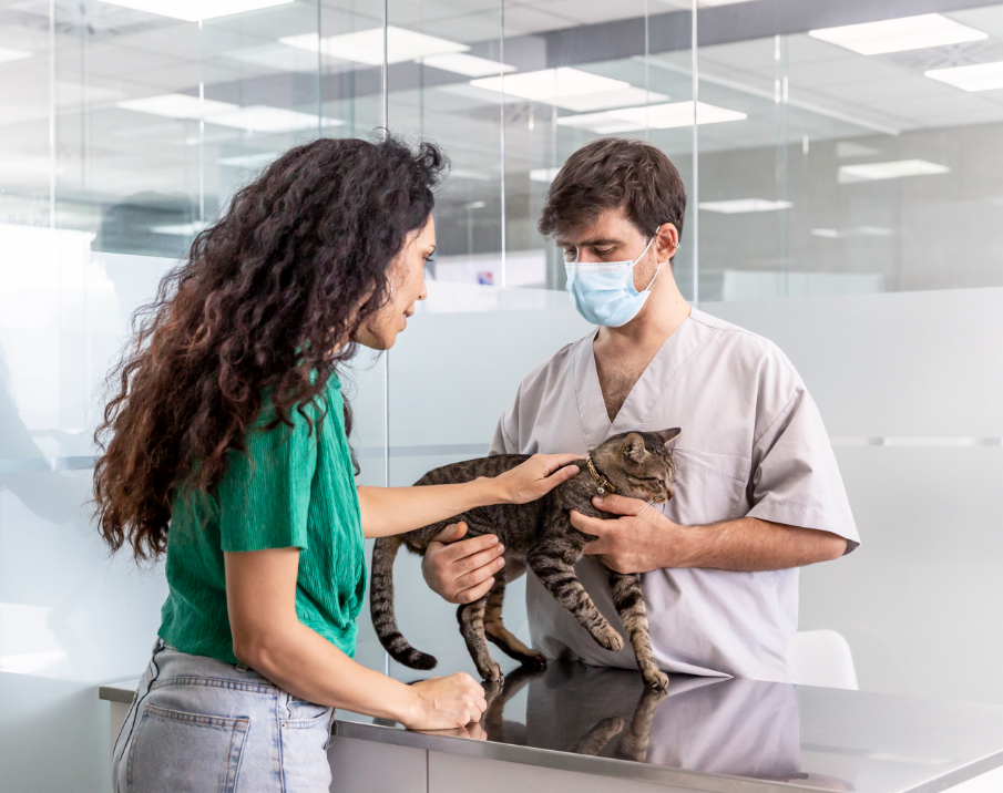 Cat at vet mobile cover with a vet, a cat and its owner